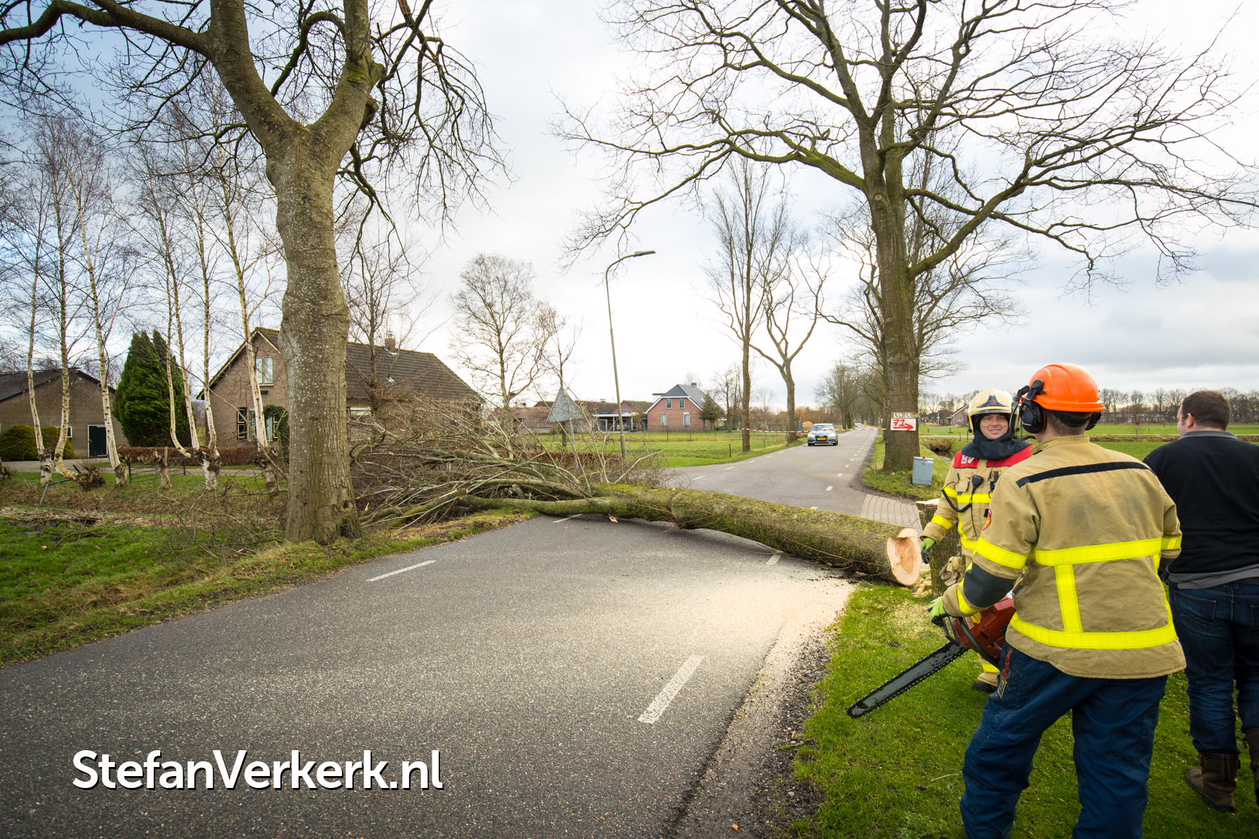 Stormschade Diverse Bomen Op Vallen Groote Woldweg Oosterwolde Gld ...